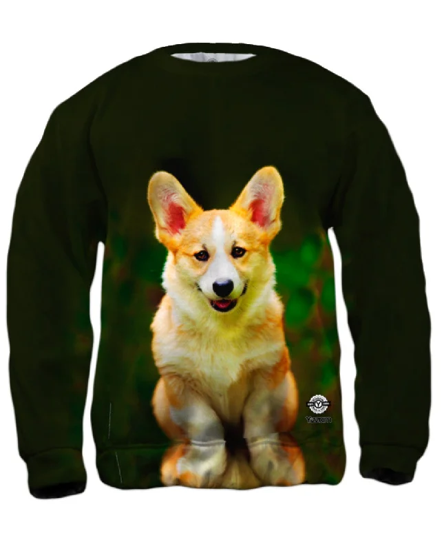 Stock Clearance Pembroke Welsh Corgi Dog