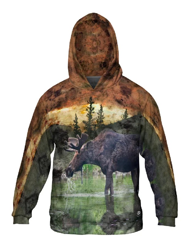 Great Deals Lake Moose