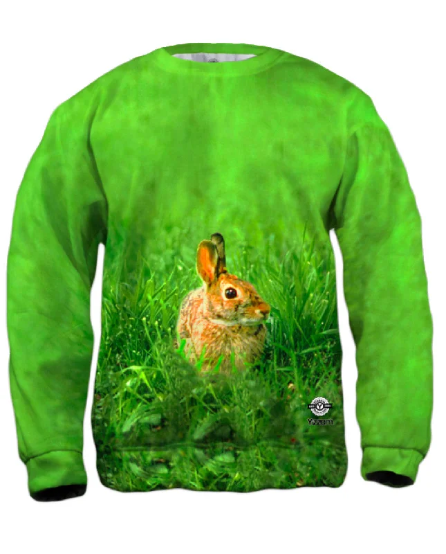 Closeout Peter Rabbit